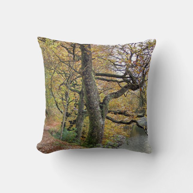 AUTUMN BY THE LAKE CUSHION (Front)