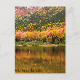 Autumn by the Lake Postcard