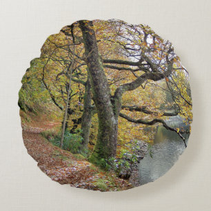 AUTUMN BY THE LAKE ROUND CUSHION