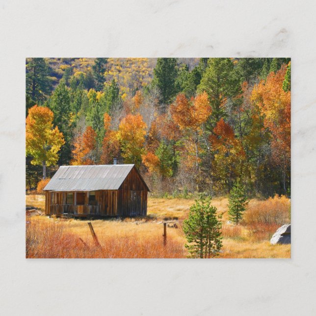 Autumn Cabin Postcard (Front)