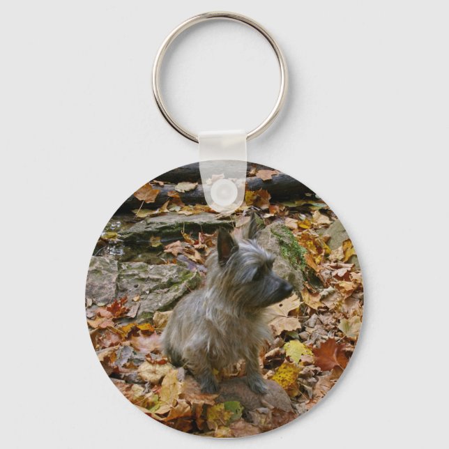Autumn Cairn Keychain (Front)