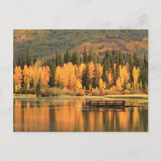 Autumn Calm Postcard (Front)