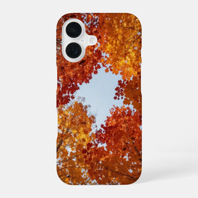 Autumn Canopy Fall Aesthetic Phone Case (Back)