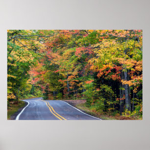 Autumn Canopy Of Color Along Highway 41 2 Poster