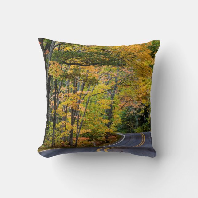 Autumn Canopy Of Colour Along Highway 41 Cushion (Front)
