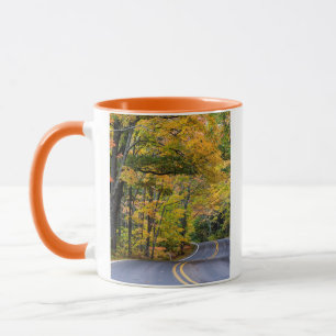 Autumn Canopy Of Colour Along Highway 41 Mug