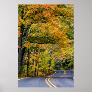 Autumn Canopy Of Colour Along Highway 41 Poster