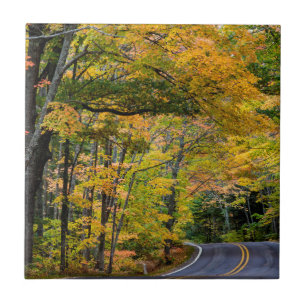 Autumn Canopy Of Colour Along Highway 41 Tile