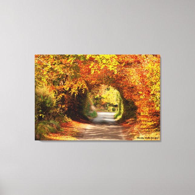 Autumn, Canvas Print, Yellow Bog Kilcullen Print (Front)