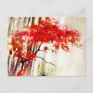 Autumn Cardinal, Japanese Red Maple tree, Postcard