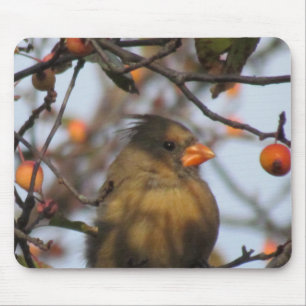 Autumn Cardinal Mouse Mat