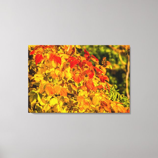Autumn Cascade Canvas Print (Front)