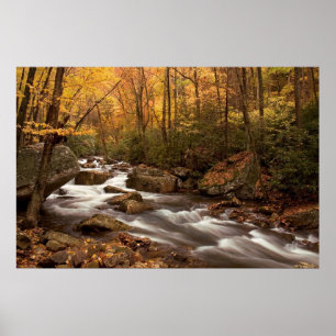 Autumn Cascade Print