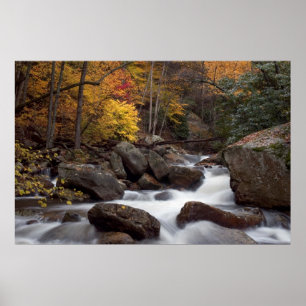 Autumn Cascade  Print