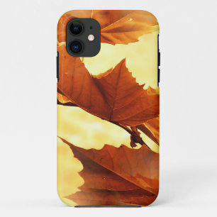 Autumn iPhone 11 Case