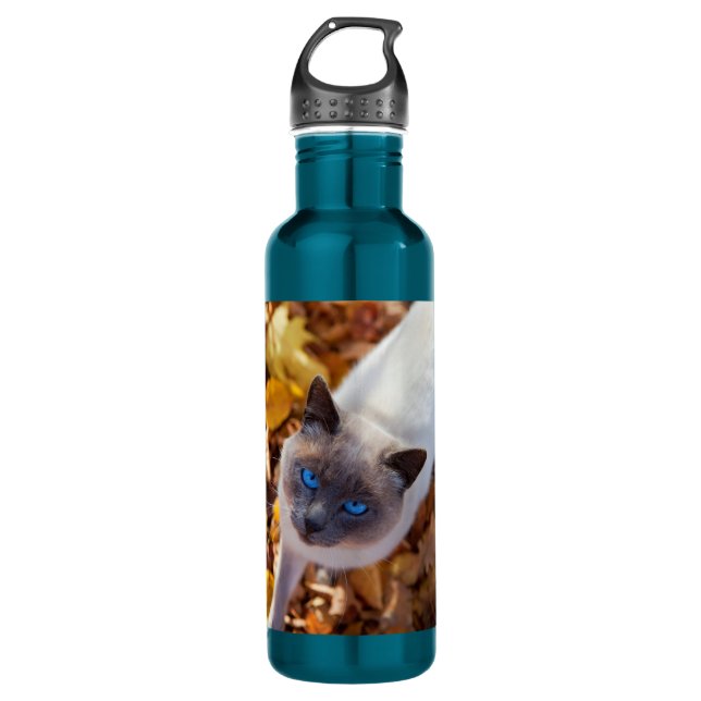 Autumn Cat 710 Ml Water Bottle (Front)