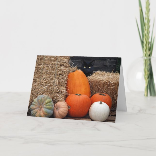 Autumn Cat Card (Front)