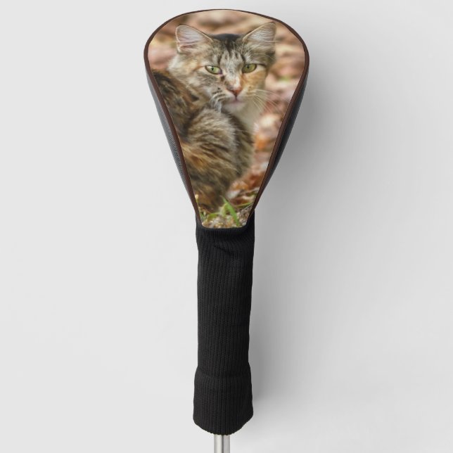 Autumn Cat Golf Head Cover (Front)