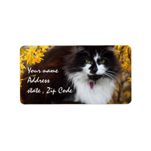 Autumn Cat Label