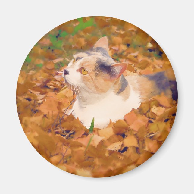autumn cat magnet (Front)