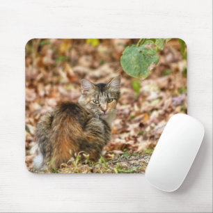 Autumn Cat Mouse Mat