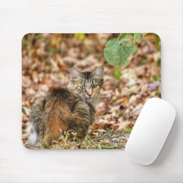 Autumn Cat Mouse Mat (With Mouse)
