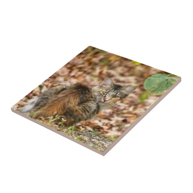 Autumn Cat Tile (Side)