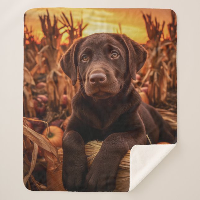 Autumn Chocolate Lab Pup Sherpa Blanket (Front)