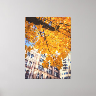 Autumn City Canvas Print