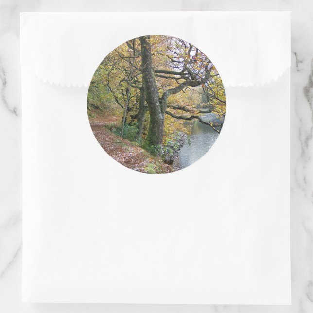 AUTUMN CLASSIC ROUND STICKER (Bag)
