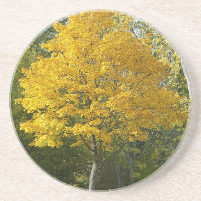 Autumn Coaster (Front)