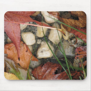 Autumn Collage Mouse Mat