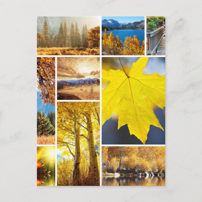 Autumn collage postcard (Front)
