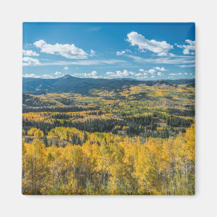Autumn Color in Flat Tops Routt National Forest Magnet