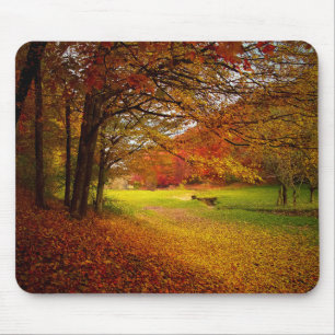 Autumn colorful landscape mouse mat