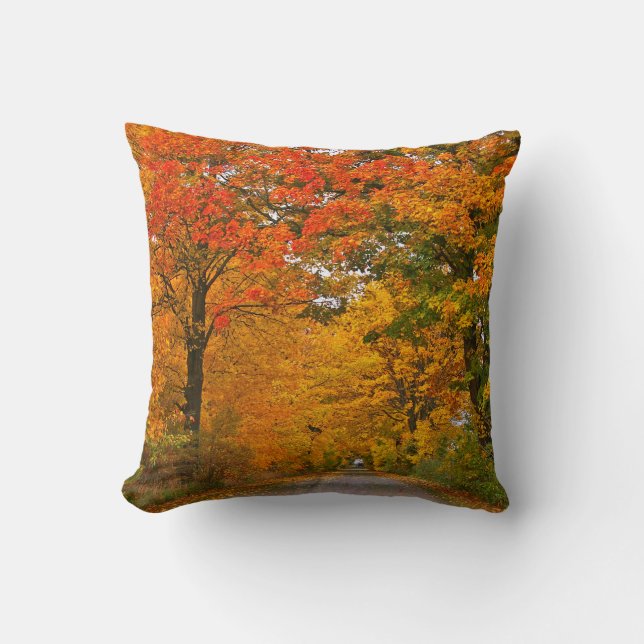 Autumn colorful trees cushion (Front)
