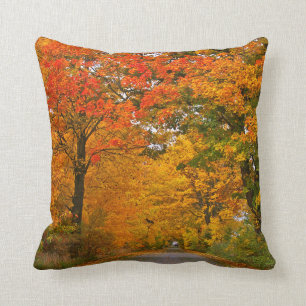 Autumn colorful trees cushion