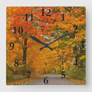 Autumn colorful trees square wall clock