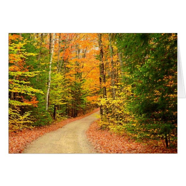 AUTUMN COLORS (Front Horizontal)