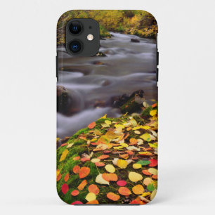 Autumn Colors along McGee Creek iPhone 11 Case