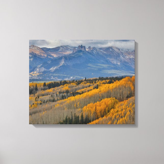 Autumn Colors on Aspen Groves Canvas Print (Front)