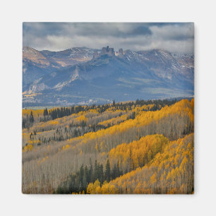 Autumn Colors on Aspen Groves Magnet