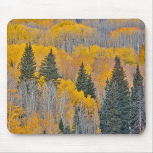 Autumn Colors on Aspen Groves Mouse Mat