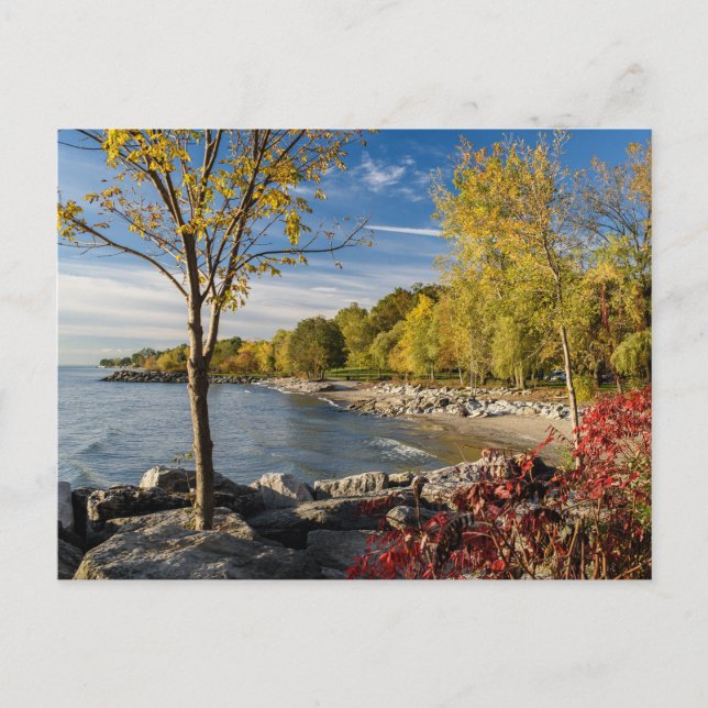 Autumn Colors, Shore of Lake Ontario, Canada Postcard (Front)