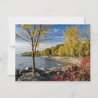 Autumn Colors, Shore of Lake Ontario, Canada Postcard