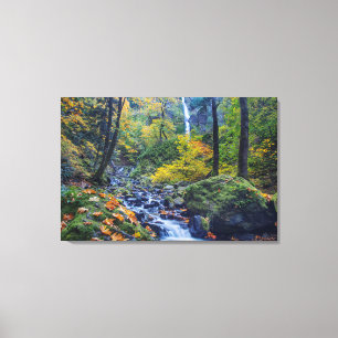 Autumn Colour Along Starvation Creek Falls 2 Canvas Print