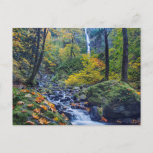 Autumn Colour Along Starvation Creek Falls 2 Postcard