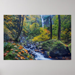Autumn Colour Along Starvation Creek Falls 2 Poster