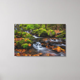 Autumn colour along Starvation Creek Falls Canvas Print