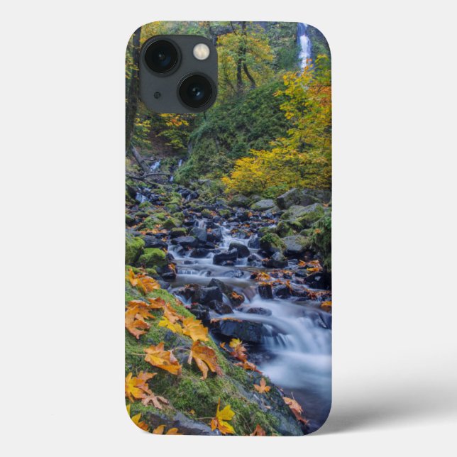 Autumn Colour Along Starvation Creek Falls Case-Mate iPhone Case (Back)